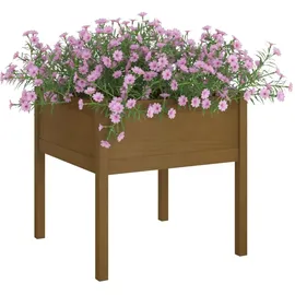 vidaXL Pflanzkübel 70 x 70 x 70 cm Honigbraun