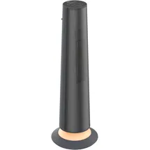 Fakir HT 1200 2500 W Grau/Schwarz