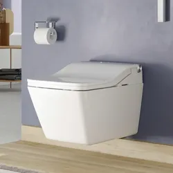 Toto Washlet SW Dusch-WC Sitz inkl. WC-Keramik##Dusch-WC-Sitz WC-Keramik TCF803CG
