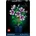 Hibiskus 10372
