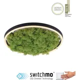 just light. LED-Deckenleuchte Green Ritu Moos 39 cm