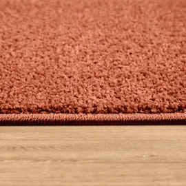 Paco Home Porto 890 Kurzflorteppich 60 x 100 cm Braun