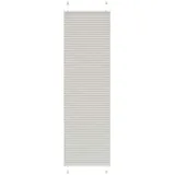 vidaXL Plissee Hellgrau 55x200 cm Stoffbreite 54,4 cm Polyester