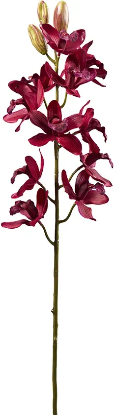 Orchidee 62cm Dendrobium 11Blatt 2Knopsen  - burgund