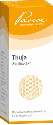 Preisvergleich Produktbild Thuja Similiaplex