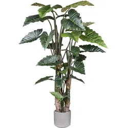 CREATIV green Künstliche Pflanze Taropflanze 260cm im Topf