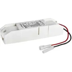 Brumberg Leuchten LED-Konverter 700mA 31W 17723000