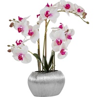 Home Affaire Kunstpflanze Orchidee, Home affaire, Höhe 55 cm, Kunstorchidee, im Topf weiß 20 cm x 55 cm x 11 cm