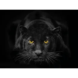 EUROART Glasbild 30 x 40 cm Black Panther III Glas Schwarz