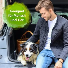 Bactador Geruchs- und Fleckenentferner Spray 750 ml