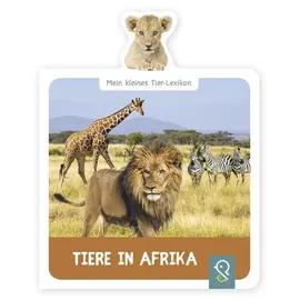 Klein & groß Verlag Tiere in Afrika