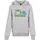 Mister Tee Star Wars Colorful Logo Kapuzenpullover Heather Grey 122-128 cm