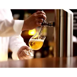 Stölzle Biertulpe Bierglas 0,4 l 6 St.