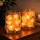 GLOBO LED Lichterkette Salzkristalle 165x4x4 cm Warmweiß