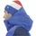 Uyn Natyon Flag Beanie surf the web/white/hight red