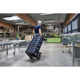 RAACO CarryMore-Trolley, Typ: 1