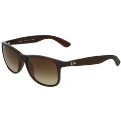 Ray-Ban Andy RB4202 607313 Matte Brown On Brown Brown Dark Brown - Braun / 55 mm