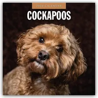 Brown trout-auslieferer flechsig Cockapoos - Cockapoo 2026 - 16-Monatskalender