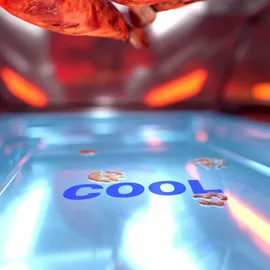 Livington Rotisserie Chef 1780 W schwarz