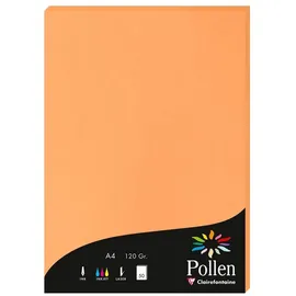Clairefontaine Briefumschlag 10x Papier A4 120g 50 Blatt - Clementine 4208C, Karten und Umschläge pollen