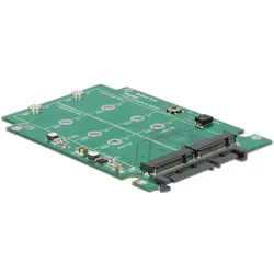 DeLOCK Converter 22 pin > M.2 NGFF - Speicher-Controller