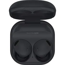 Samsung Galaxy Buds2 Pro graphite