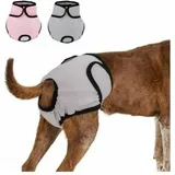 Cyslmuk - 2 Stück 37–55 cm wiederverwendbare Hundewindeln, physiologische Hosen, hygienische Hosen, waschbare, saugfähige Shorts – Typ -l. Für