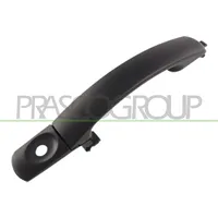 PRASCO FD1078004