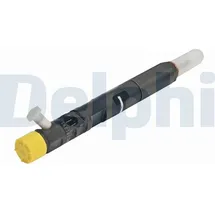 Delphi Einspritzventil R02201Z