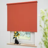 LIEDECO Rollo, Mittelzugrollo Uni Verdunkelung 62 x 180 cm, terracotta