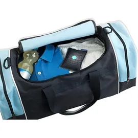 Wenko Auto-Entfeuchter 120 g 2er Set