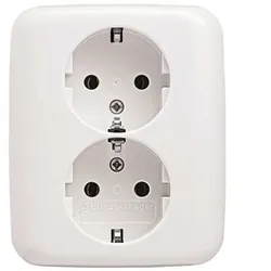 Busch-Jaeger 202 EUJ-214 SCHUKO® Doppelsteckdose volle Abdeckung