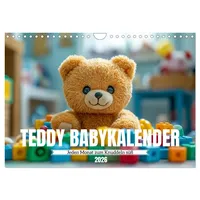 Calvendo Teddy Babykalender - Jeden Monat zum Knuddeln süß