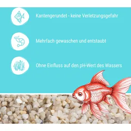 Schicker Mineral Aquarienkies beige 25 kg