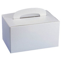 20 PAPSTAR Einweg-Lunchboxen 22,5 x 15,5 cm