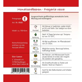 Dürr-Samen Monatserdbeeren Rügen