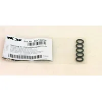 WOLF-Garten Wolf Dichtung Überwachungselektrode für CGB-Baureihe bis 24kW