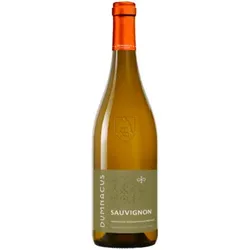 Sauvignon Blanc - Loire Rebelle 2023 - Dumnacus Vignerons