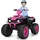 komfotteu Kinder-Elektroquad rosa (12V)