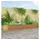vidaXL Hochbeet 400 x 80 x 44 cm Braun