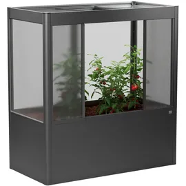 Biohort Gewächshaus Florentina 2 x 1 MAXI 201,6 x 213 x 103,1 cm Dunkelgrau-Metallic