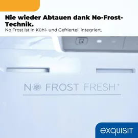 Exquisit KGC5380-115-NF-040C Kühl-Gefrierkombination (377 l, 2005 mm hoch, Inoxlook)