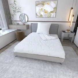 Jekatex Bettdecke + Kopfkissen, 2-TLG oder 4-TLG, Bettenset 135x200/155x220+80x80/40x80cm, ECO, Schlafkomfort fürs ganze Jahr! (1, 135x200+40x80cm)