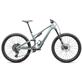 Specialized Stumpjumper 2025 29 Zoll RH 5 cm Unisex Gloss Seafoam / Silver Dust