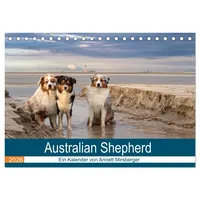 Calvendo Australian Shepherd 2026 (Tischkalender 2026 DIN A5 quer),
