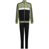 Adidas Essentials 3-Streifen Tiberio Trainingsanzug Tent Green / Black / White 176