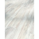 DER HOLZWURM Parador Vinylboden Basic 4.3 Pinie weiß