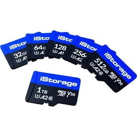 Istorage microSD