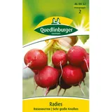 Quedlinburger Radies ''Riesenbutter''