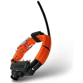 DOGTRACE X25 X25TB (control+collar +educative+beeper)